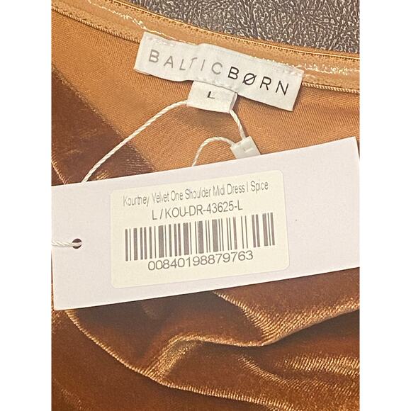 Baltic Born Kourtney Velvet One Shoulder Midi Dress in Spice L Holiday Fall - Picture 6 of 12